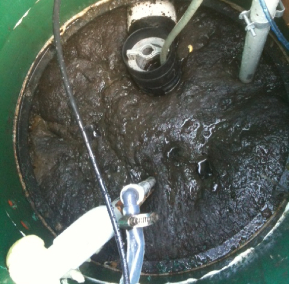 Sludge Accumulation copy