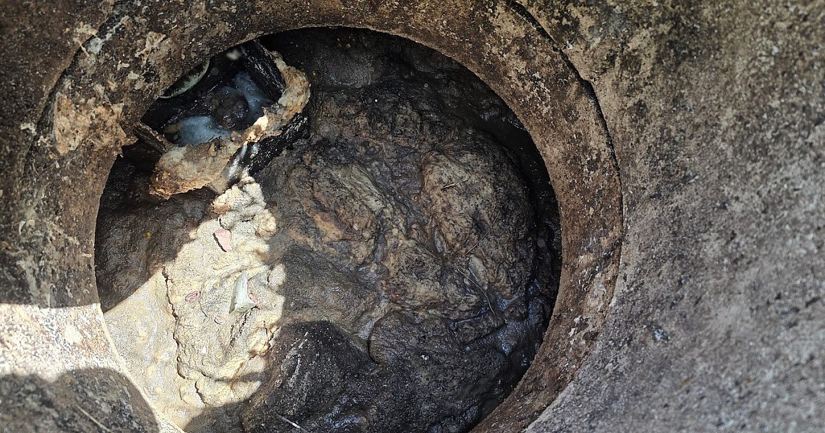 Protecting the Septic Tank Ecosystem | Onsite Installer