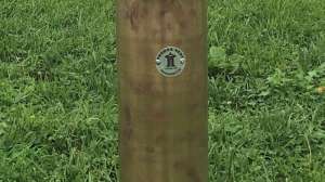 Pagoda vent case study