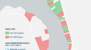 Dunhams Bay Algae Map 36X24 V1