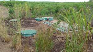 Esthers Island Image