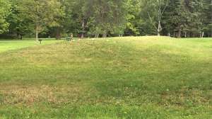 Mound with Access IMG 2653