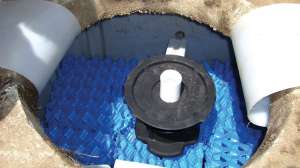 Biomicrobics Case Study