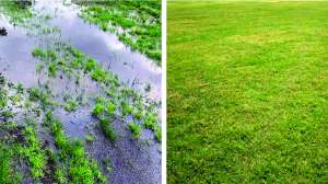 Cape cod biochemical case study