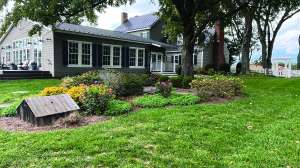 E z treat case study