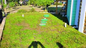 Fujiclean case study