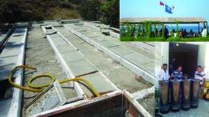 Imet case study