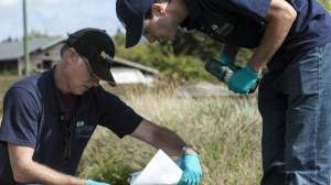 Osi onsite systems 15 asf large