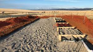Presby environmental case study 180807 075625
