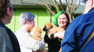 Savinggrace Orenco Reps