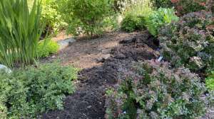 Sludgehammer case study 230823 161023