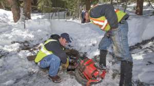 Snowbridge carlscofield 6