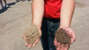 Soil