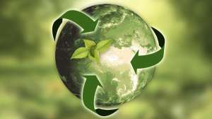 Sustainability in business