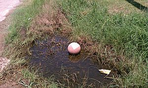 Poor People,  Poor Soil, Poor Sanitation