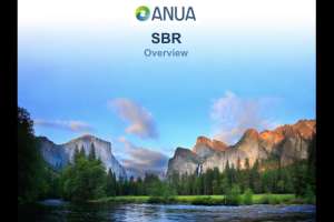 Screen Shot 2020 08 11 at 1 06 08 PM