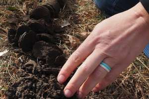 Soil Testing Minnesota Septic Install Feser