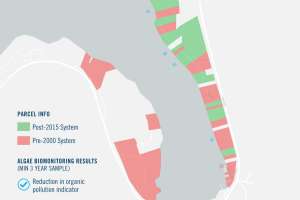 Dunhams Bay Algae Map 36X24 V1