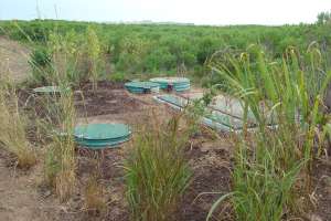 Esthers Island Image