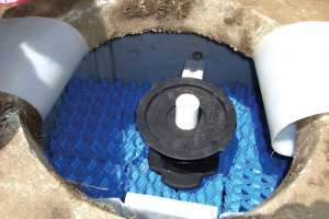 Biomicrobics Case Study