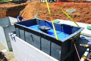 Biomicrobics highstrengthfast