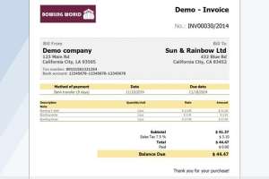 Bizxpert Demo Invoice