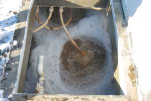 Bubbling Action In Nibbler Atu