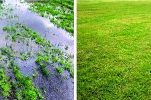 Cape cod biochemical case study
