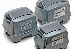 Charles Austen Et Pump Photograph