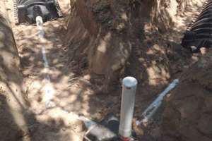 Clarus environmental case study large