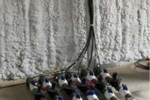 Delta environmental case study 171208 144702