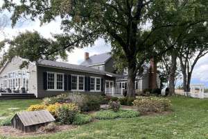 E z treat case study 240410 154049