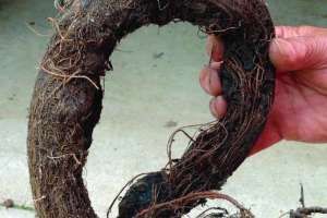 Getting to the Root Cause of Mound Performance Issues