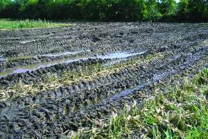 Field Compaction 8 26 09 004