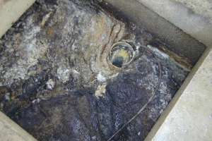 First Septic Tank At A Commercial System