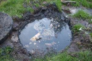 Full tank 190612 095751