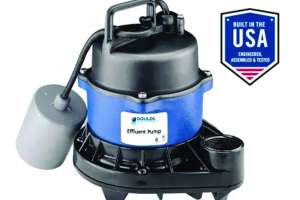 Goulds 3871 effluent