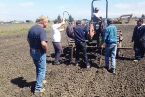 Lakeside Drip Field 0743