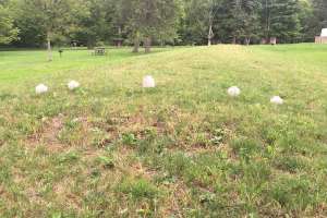 Lateral Access In Large Pipe Img 2652