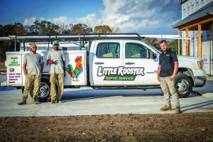 Little rooster 317