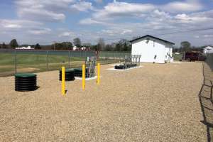 Logan Elm Photo May 02 18 03 43 59 Pm Copy