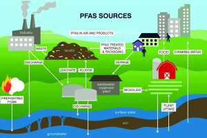 Onsite Insights Pfas Cycle Infographic 01