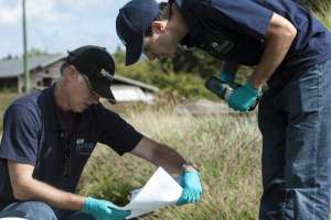 Osi onsite systems 15 asf large