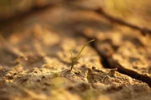 Pexels eye4dtail 141489