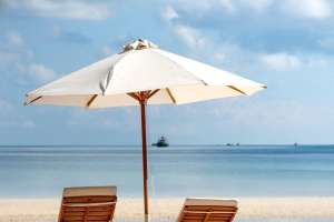 Pexels quang nguyen vinh 3355732