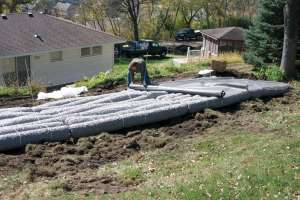 Pine Island Dsc 0009 300