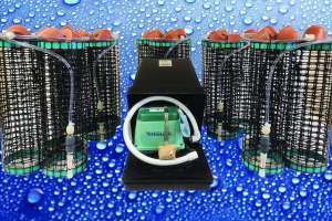 Product spotlight riovation biomaze commercial model