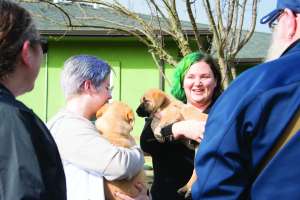 Savinggrace Orenco Reps