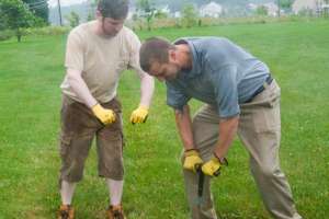 Sept021 Michel Higgs and Jon Blevins of Home Land Septic Consulting probing a drainfield 180731 153739