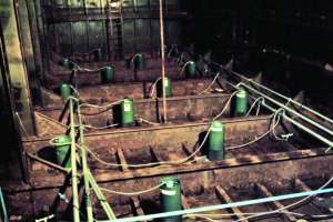 Sludgehammer Case Study